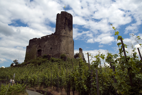 Burgruine Landshut