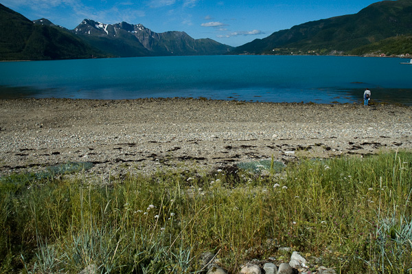 Fjord am Svartisen Nationalpark