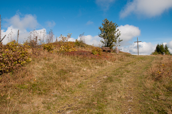 Am Gipfel des Blößling 1309 m