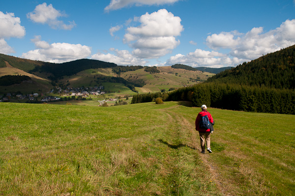 Wanderin bei Bernau auf einer Viehweide