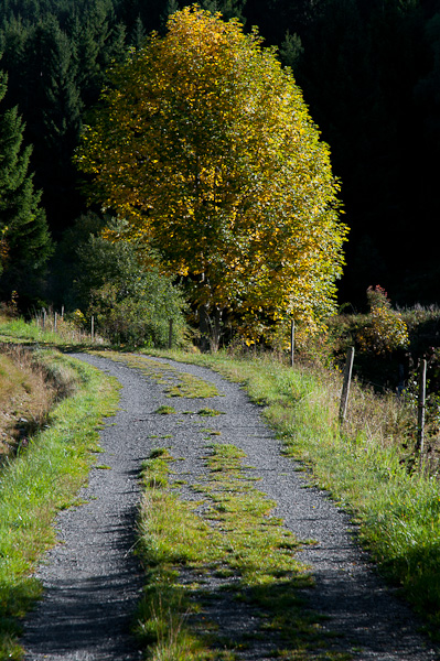 Feldweg