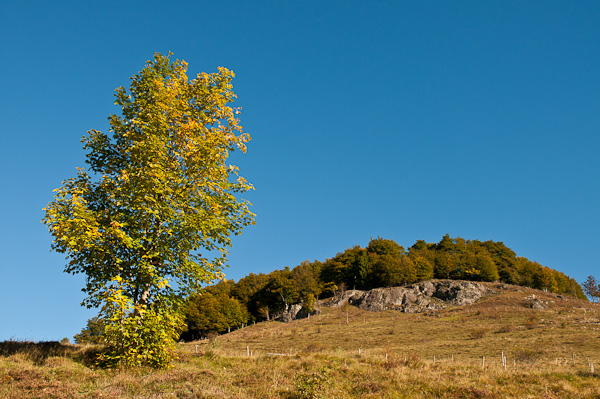 Scheibenfelsen bei Bernau-Dorf