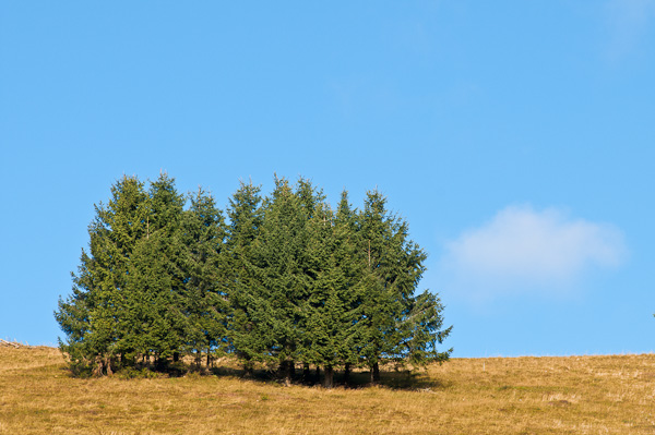 Übersicht Fotomotive im Südschwarzwald