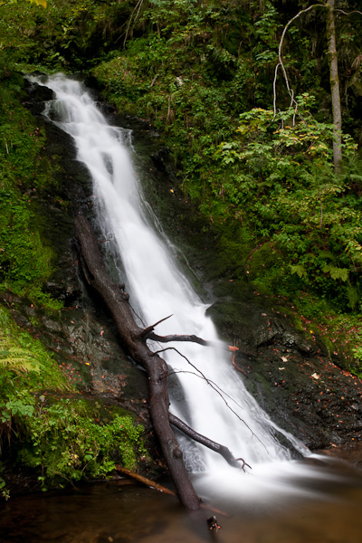 Wasserfall mit Baumstamm