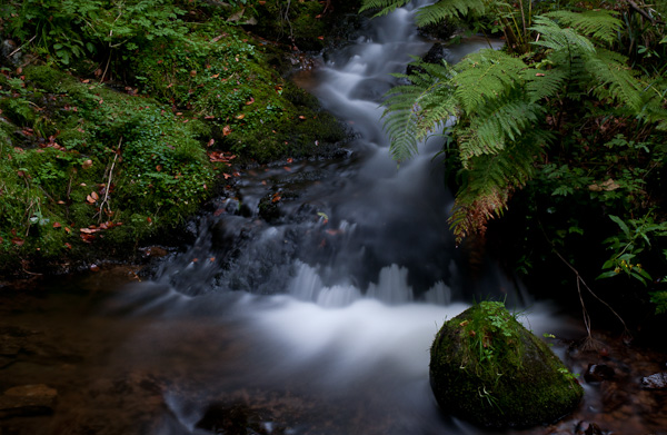 Wasserfall und bemooste Steine