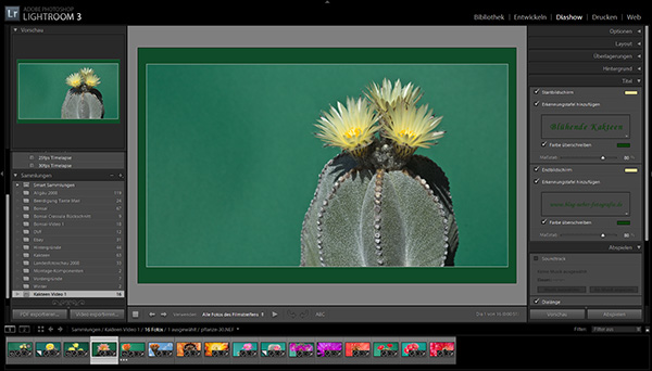 Mit Adobe Lightroom 3 eine Diashow erstellen