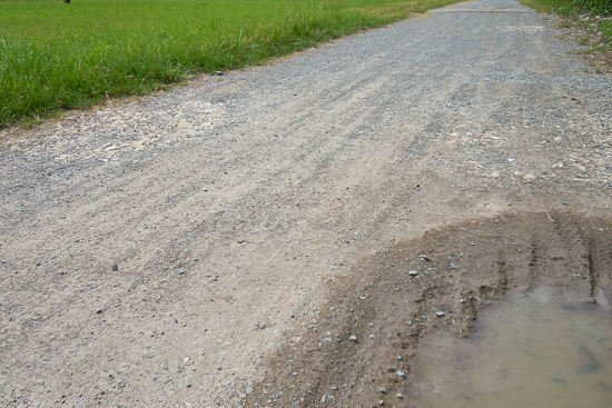 Feldweg und Pfütze