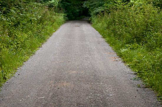 Waldweg