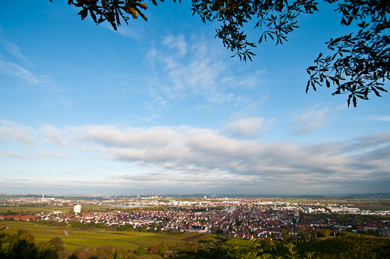 Blick vom Kappelberg auf Fellbach