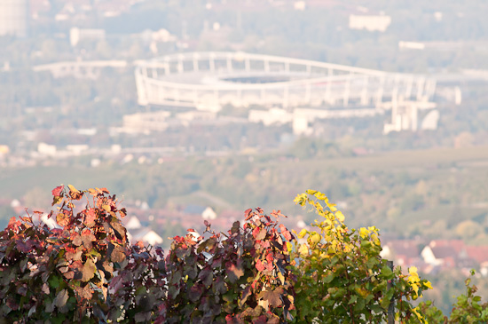 Mercedes-Benz-Arena in Stuttgart - Bad Cannstatt