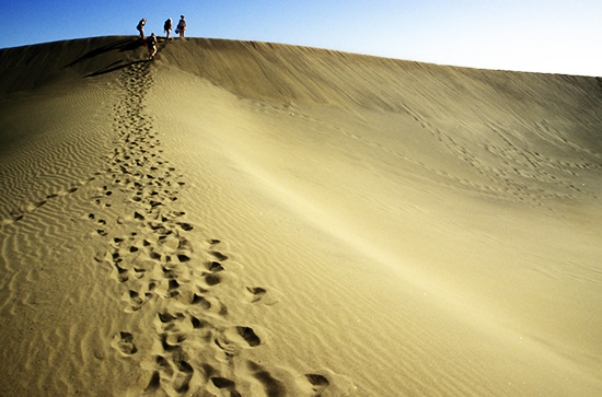 Sanddüne