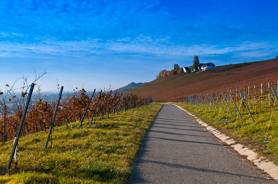 Foto mit blauem Verlauffilter