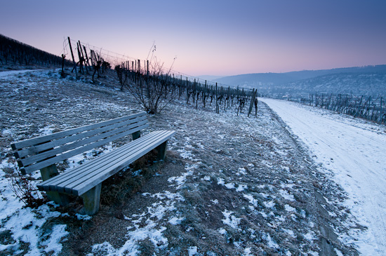 Holzbank in einem Weinberg im Winter