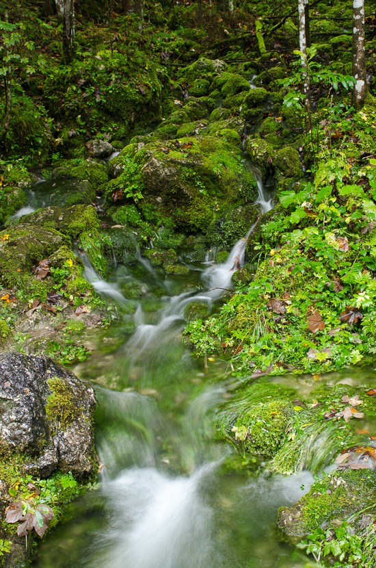 Gletscherquelle in Ramsau