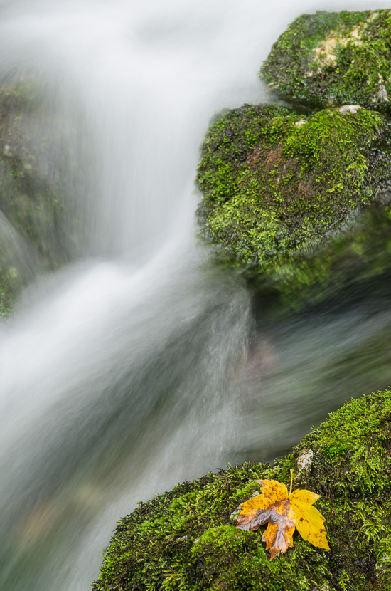 Fototipps zum fotografieren im Regen und bei Schlechtwetter