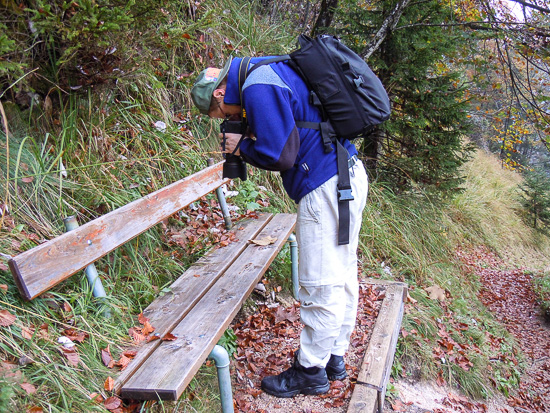 Fotograf an einer Holzbank