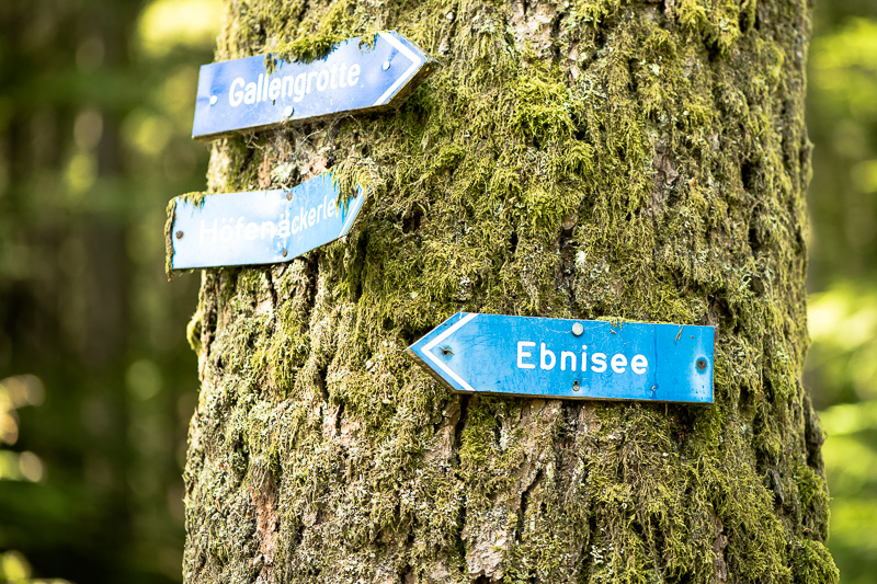 Wanderschilder am Ebnisee