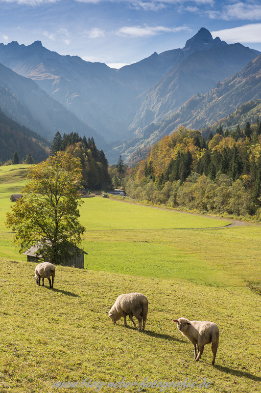 Trettachtal mit Trettachspitze bei Oberstdorf
