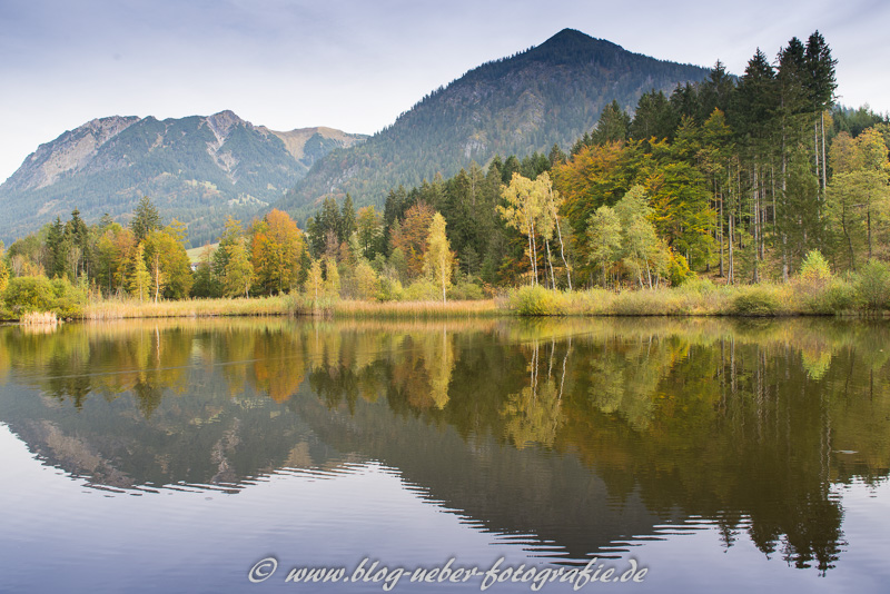 Moorweiher