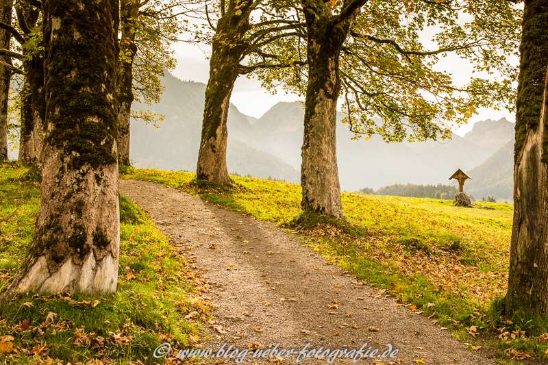 Landschaftsfotografie im Allgäu – Hofmannsruh und Moorweiher