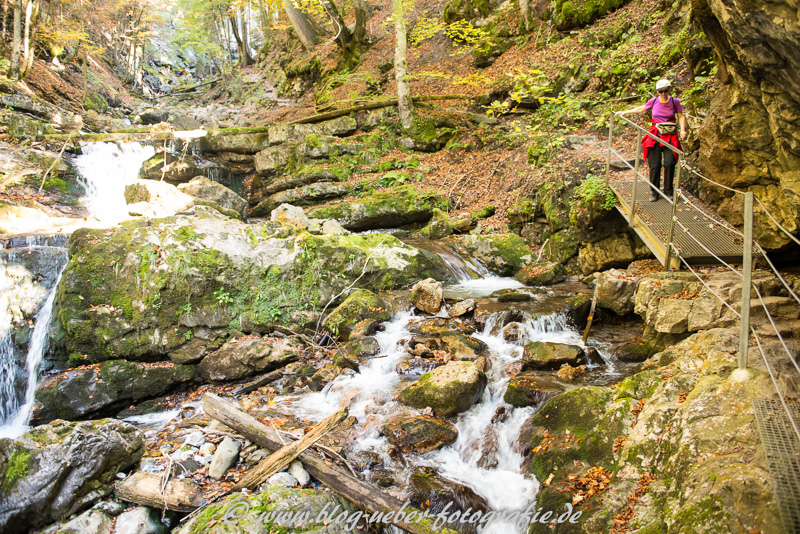 Wandersteig im Faltenbachtobel