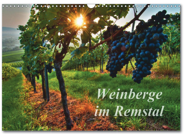 Kalender: Weinberge im Remstal