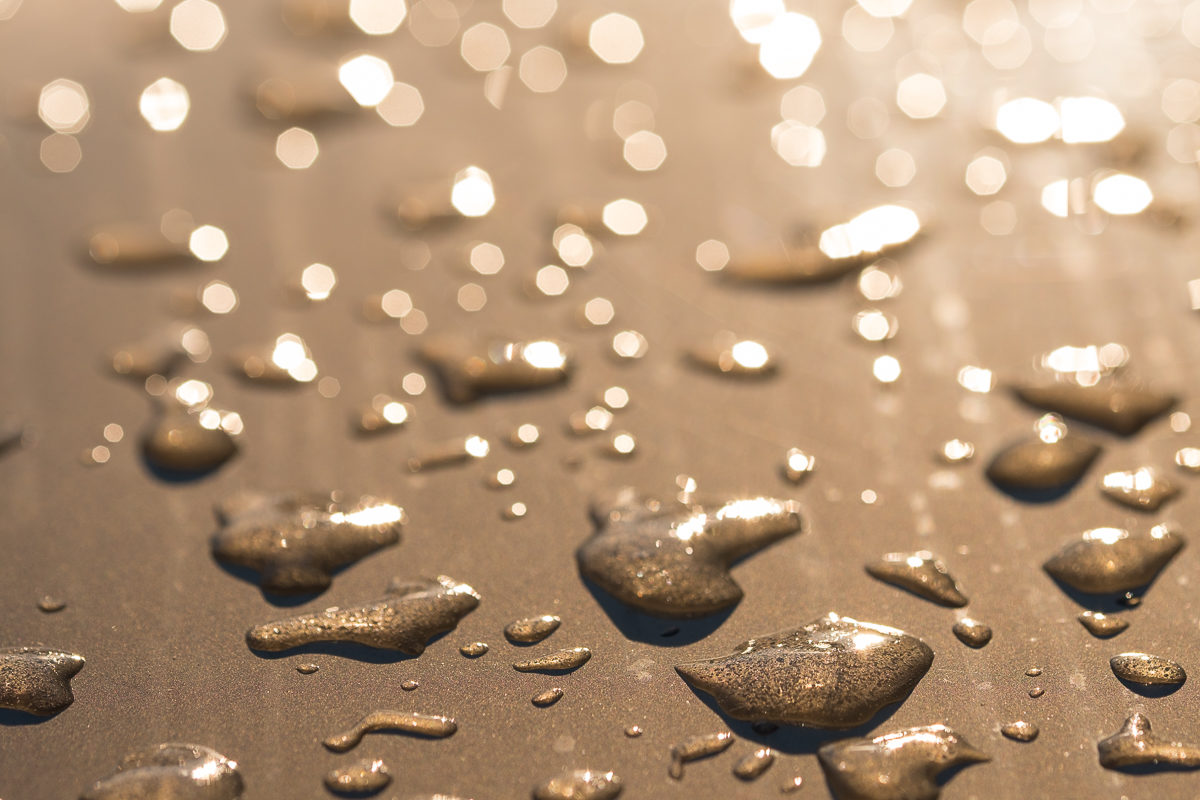 Wassertropfen im Gegenlicht mit Blende 4,0