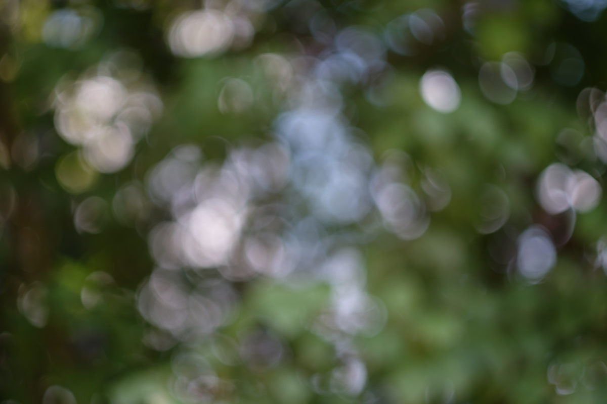 Helios 44-2 Bokeh