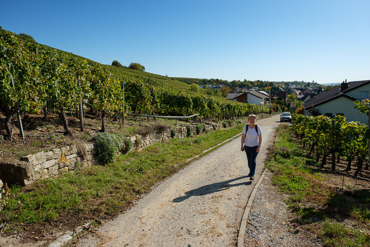 Aufstieg in Mundelsheim zur Käsbergkanzel