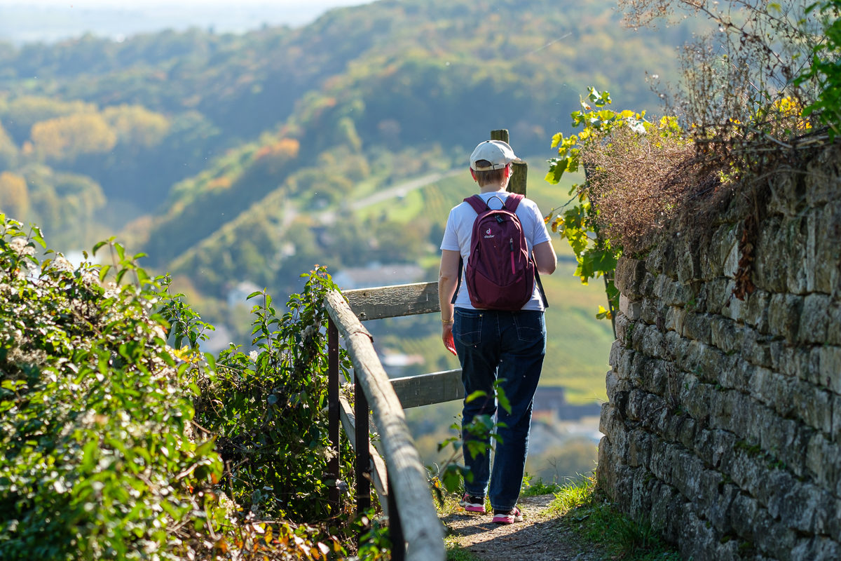 Wanderweg durch die Weinberge