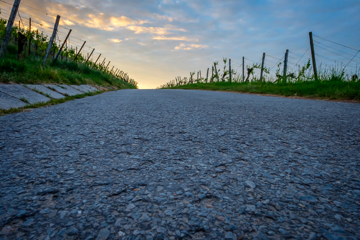 Straße im Weinberg in der Morgendämmerung