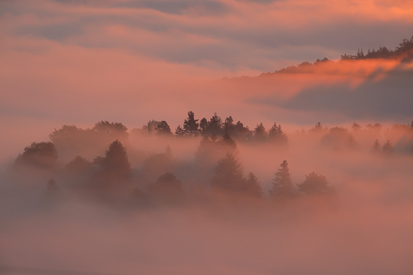 Gegenlicht einer Landschaft im Nebel