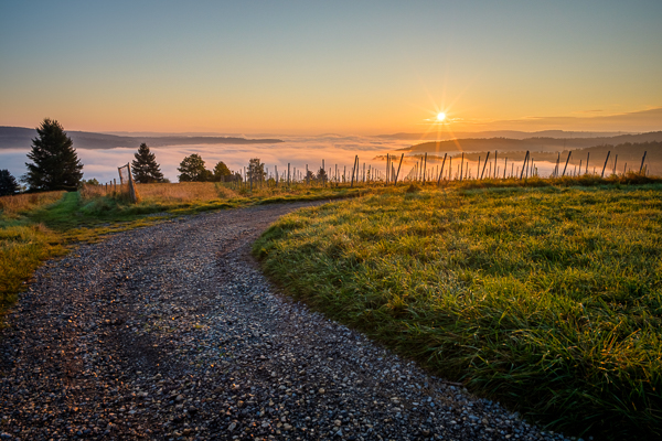 Gegenlicht beim Sonnenaufgang