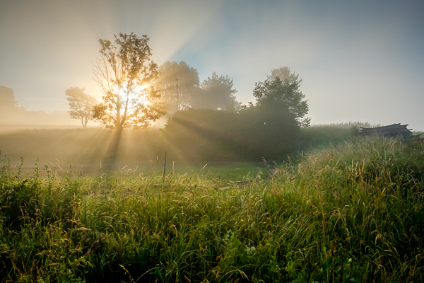 Gegenlicht mit Sonnenstrahlen im Morgennebel