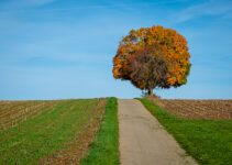 3 Herbst-Foto-Spaziergänge