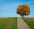 3 Herbst-Foto-Spaziergänge