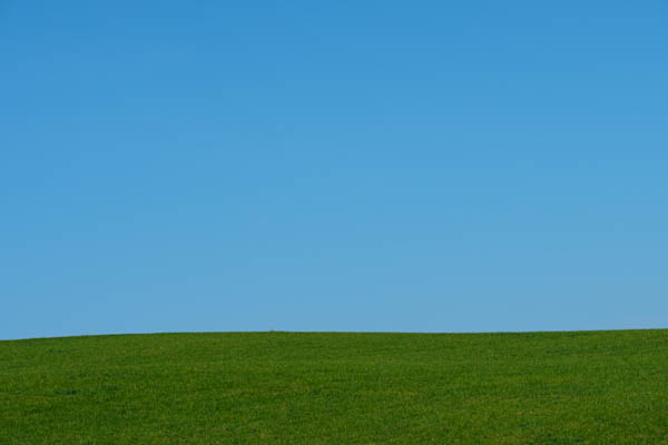 Grünes Feld vor blauem Himmel