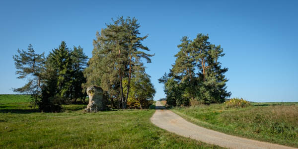 Ein Felsen von Bäumen umgeben