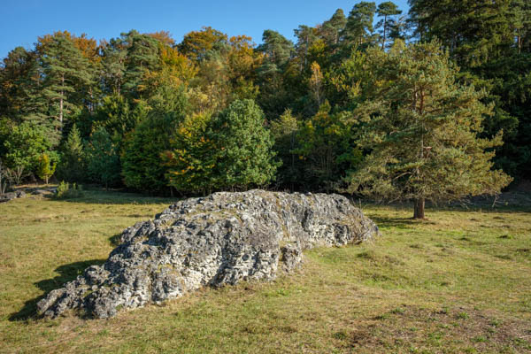 Ein Felsen auf einer Wiese